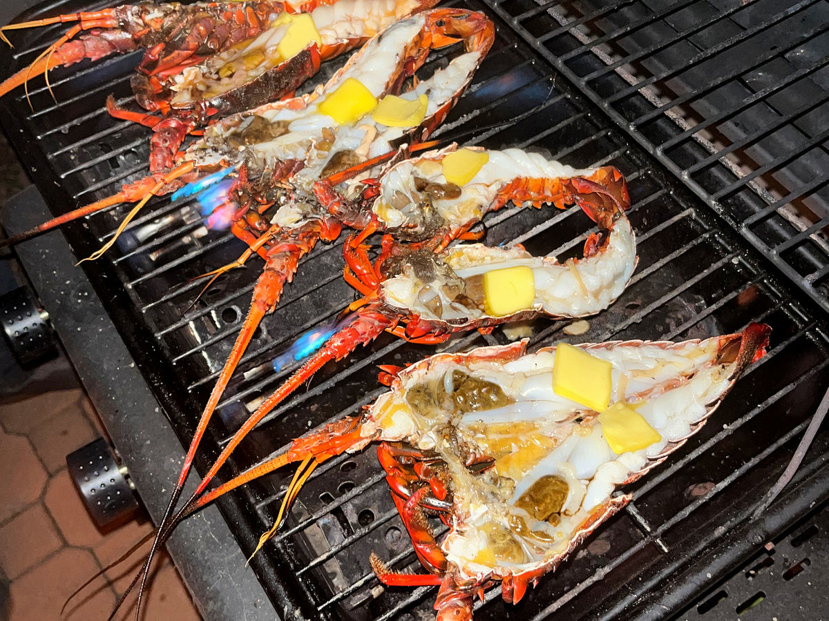 California Spiny Lobster split and grilled with butter